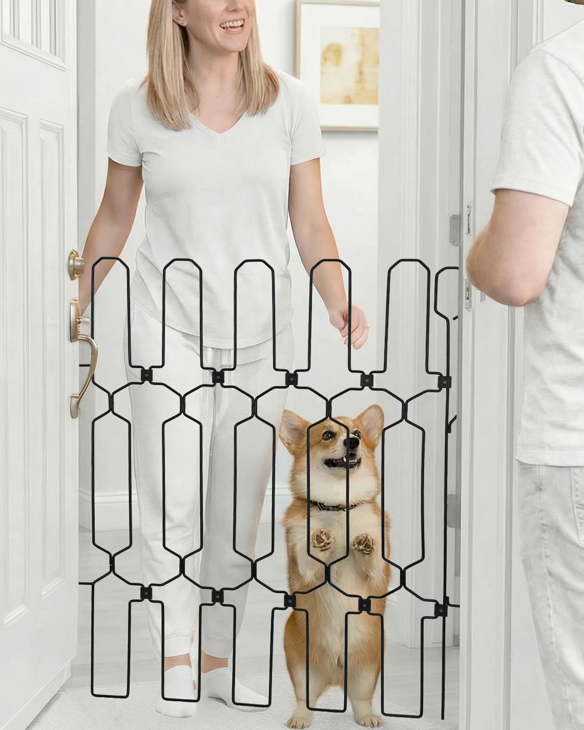 Automatic Retractable Dog Gate for Front Doors