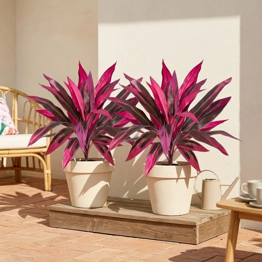 2Pcs Large Artificial Boston Fern & Dragon's Blood Tree Plants | Vibrant Pink Purple Faux Plants for Garden Patio Balcony Decor