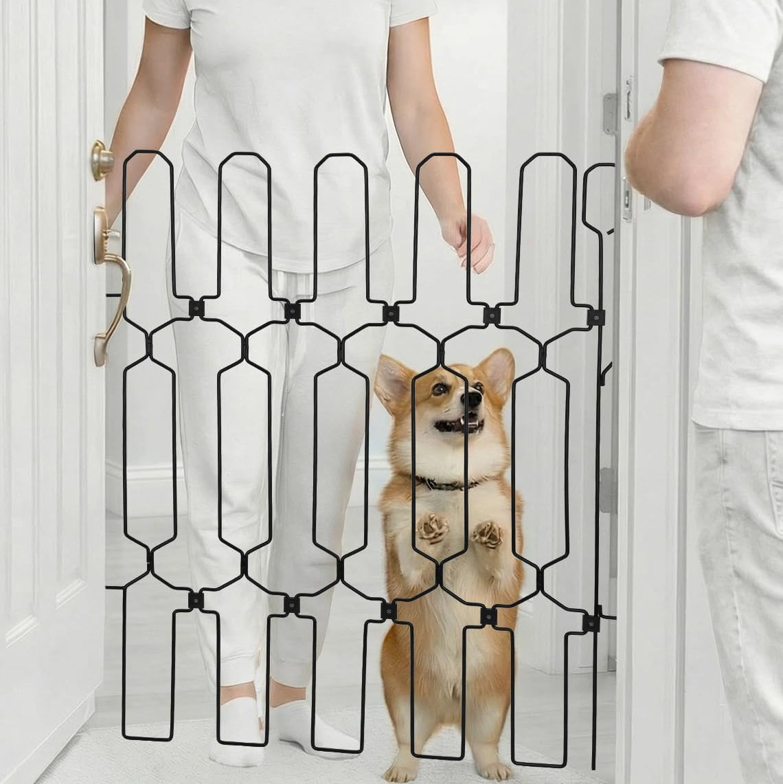 Automatic Retractable Dog Gate for Front Doors