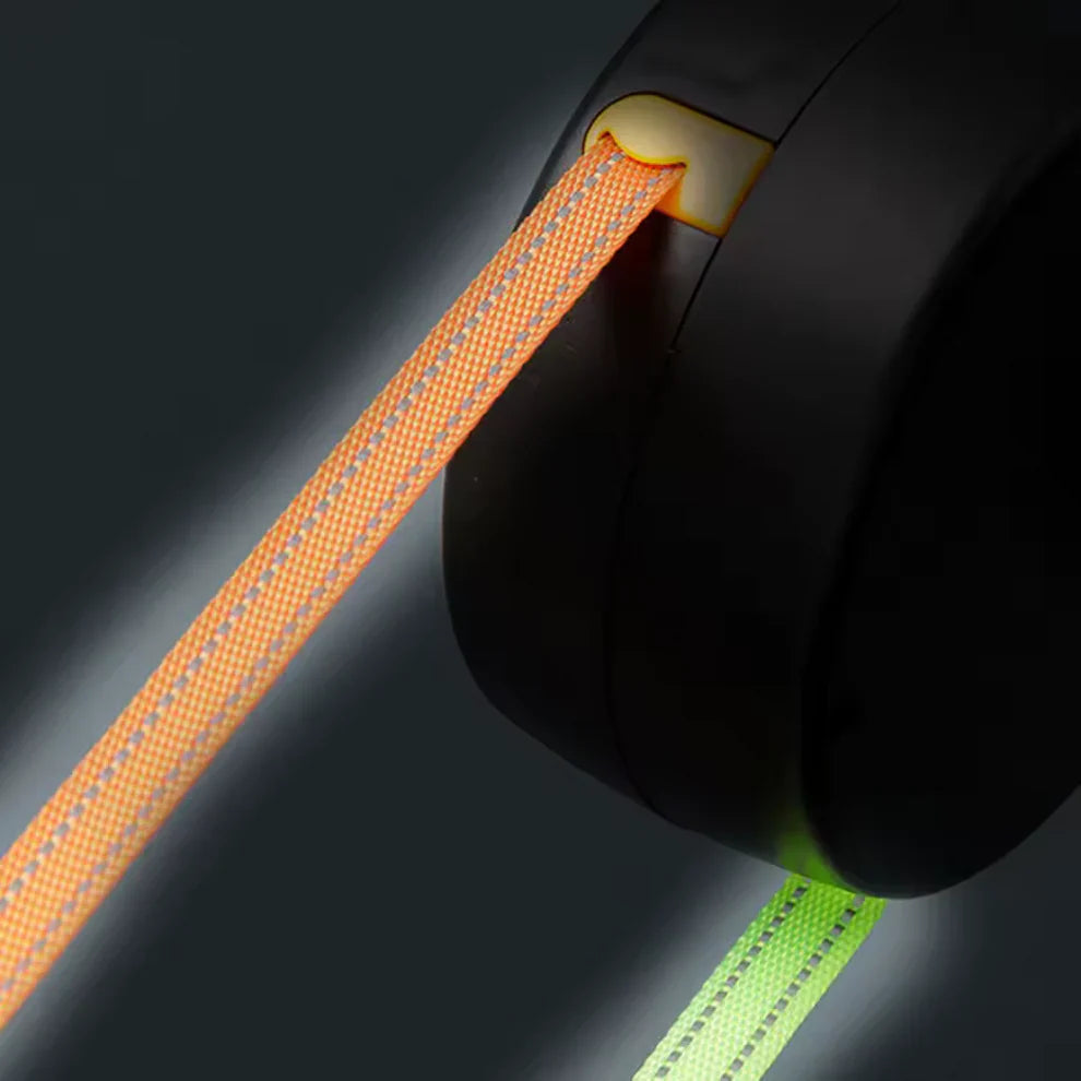 Tangle-Free Dual Dog Leash