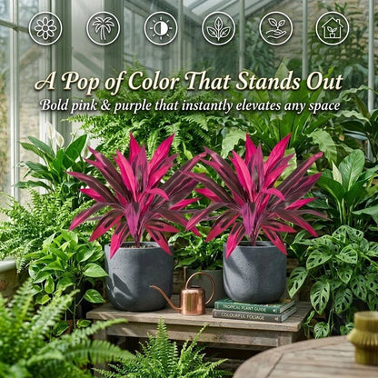 2Pcs Large Artificial Boston Fern & Dragon's Blood Tree Plants | Vibrant Pink Purple Faux Plants for Garden Patio Balcony Decor